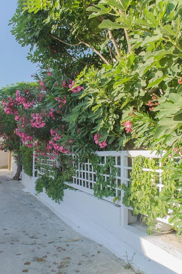 Kalypso Studios & Rooms ปาไลโอโกรา ภายนอก รูปภาพ